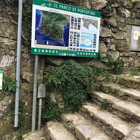 La Mansarda Di San Lorenzo *